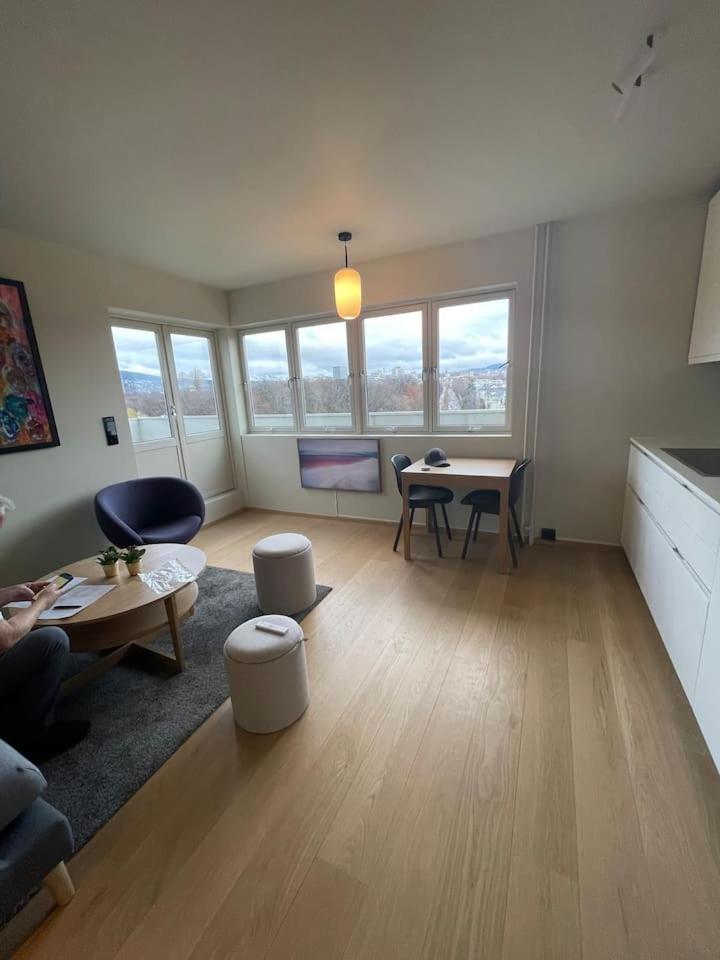 Frognervein Terrace Penthouse