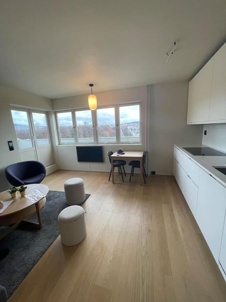 Frognervein Terrace Penthouse