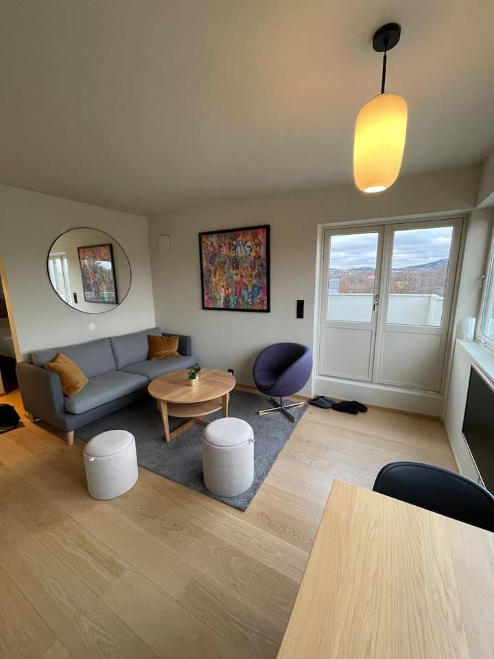 Frognervein Terrace Penthouse