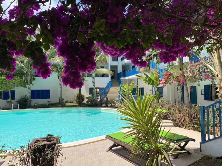Leme Bedje Three bedroom - By Bobbywashere, photo 9