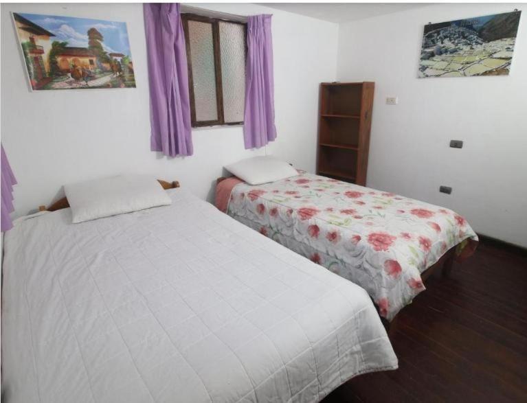 Pink Sheep Hostal view 3