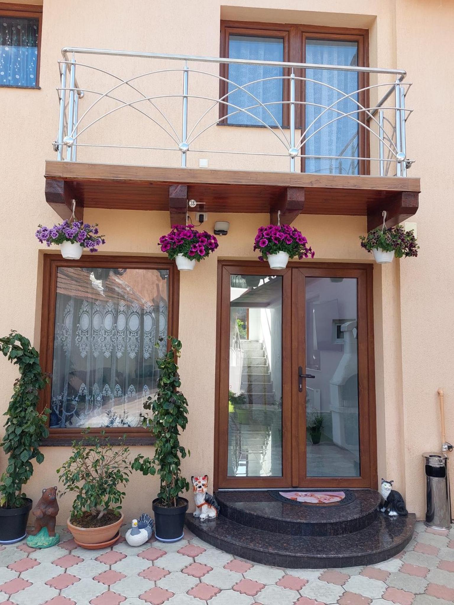 Maria's Dream House