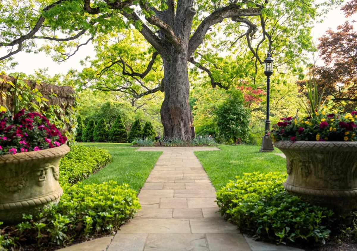 garden