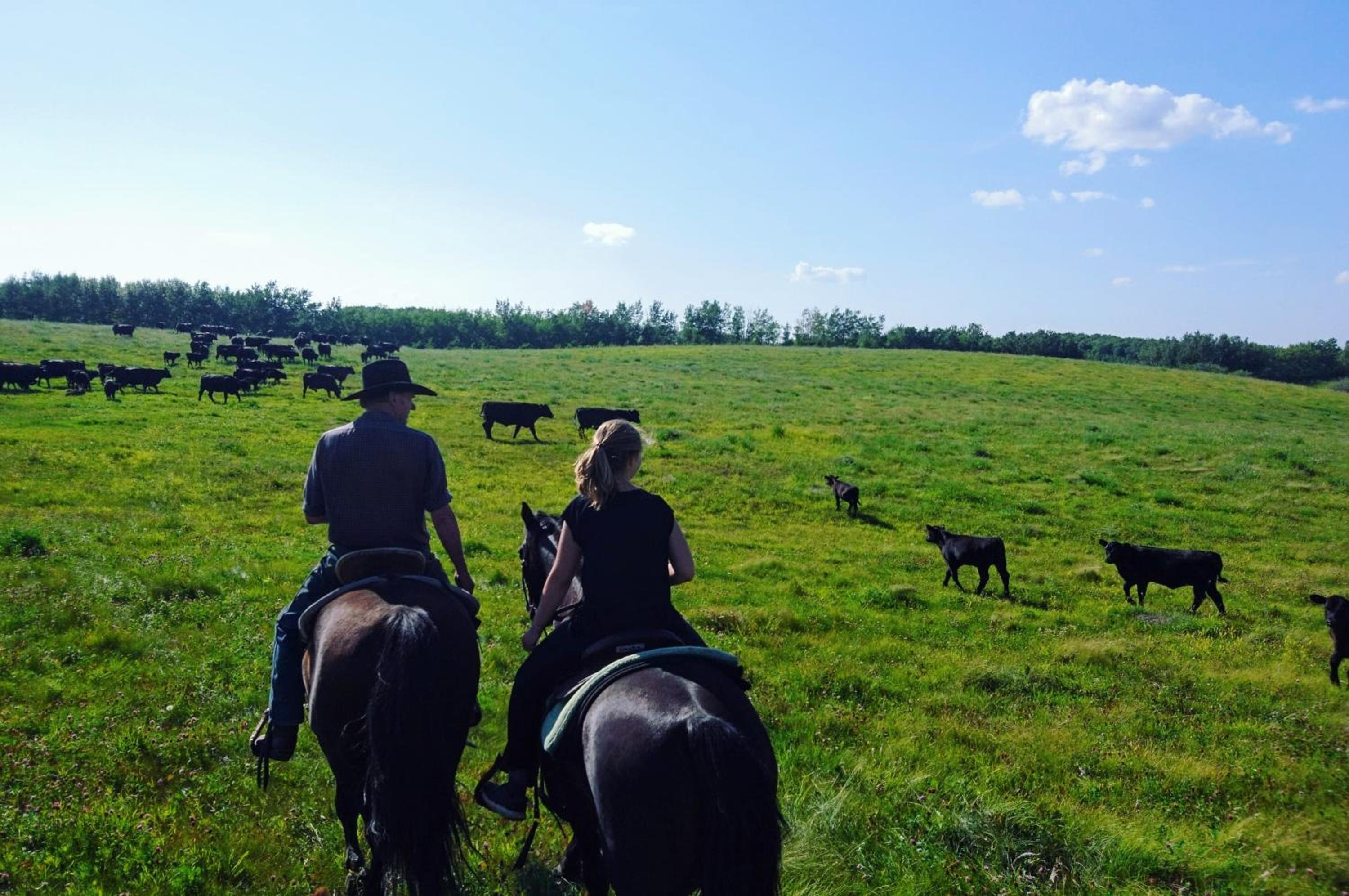 HI Rossburn 9 Finger Ranch view 5