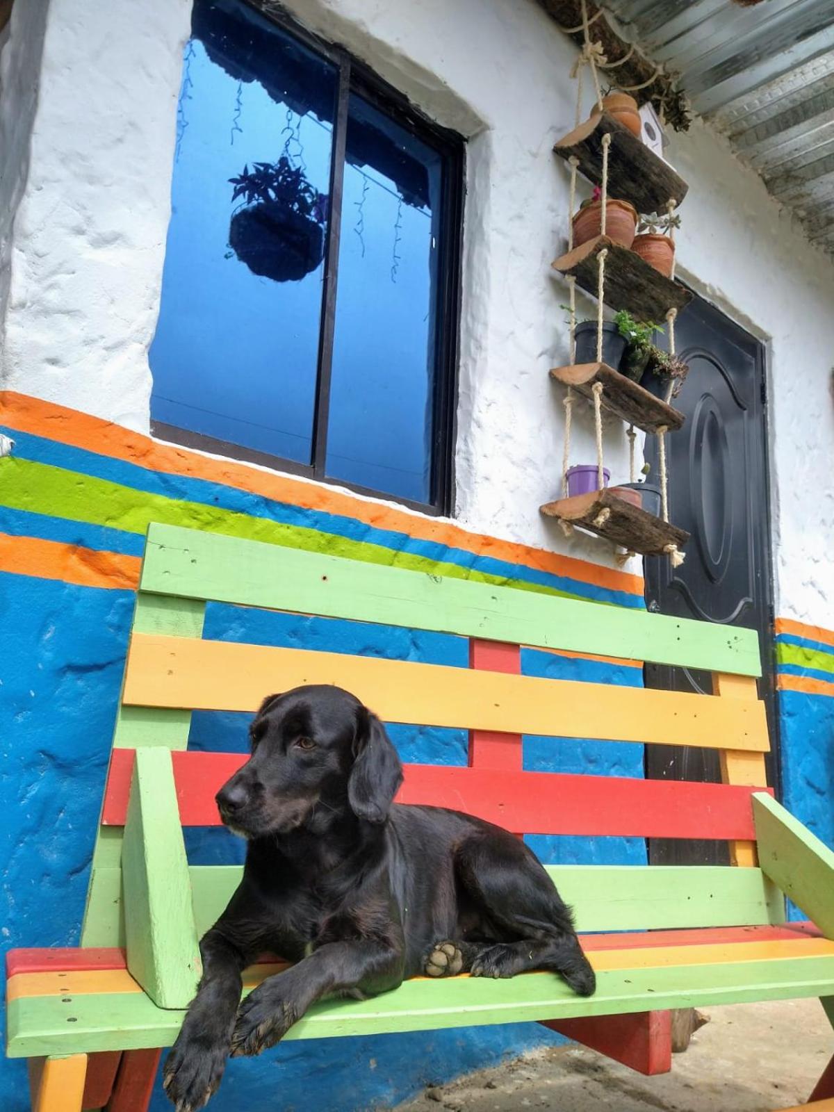 Casa Viva Alojamiento Rural