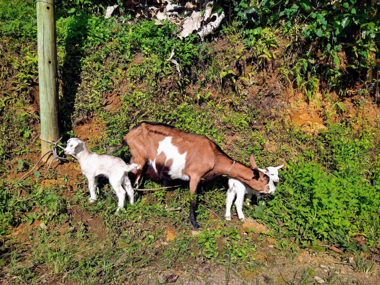 Casa Viva Alojamiento Rural