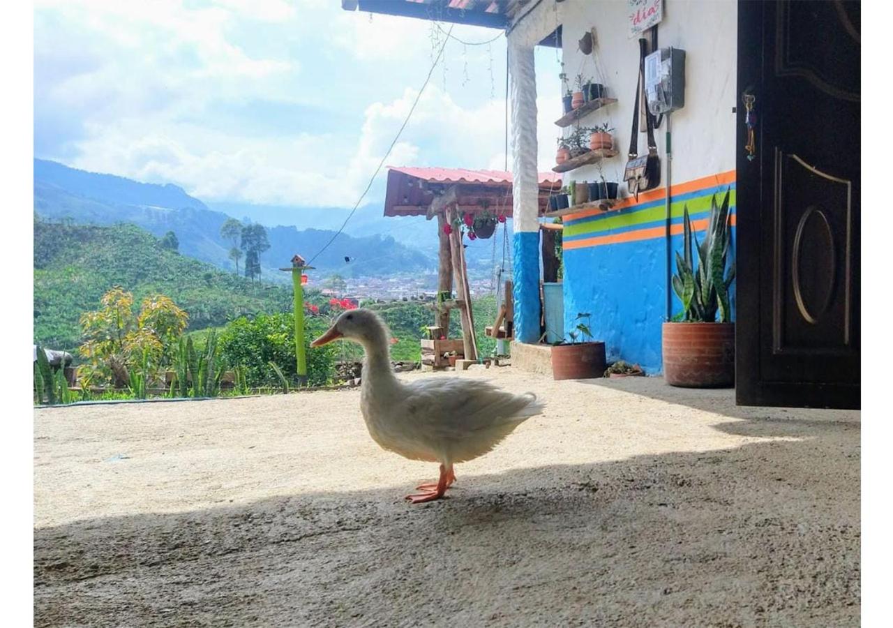 Casa Viva Alojamiento Rural