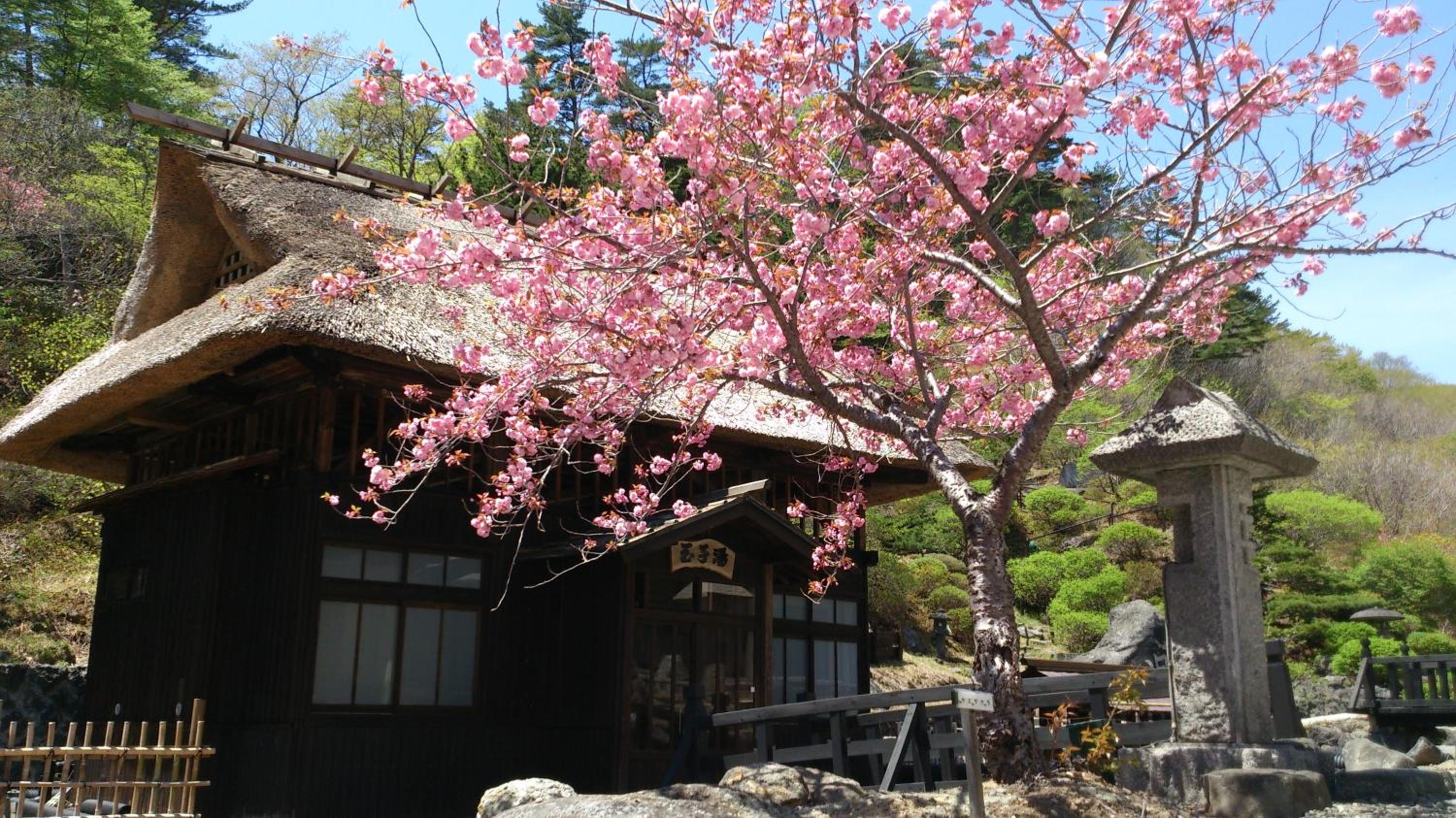 Ryokan Tamagoyu