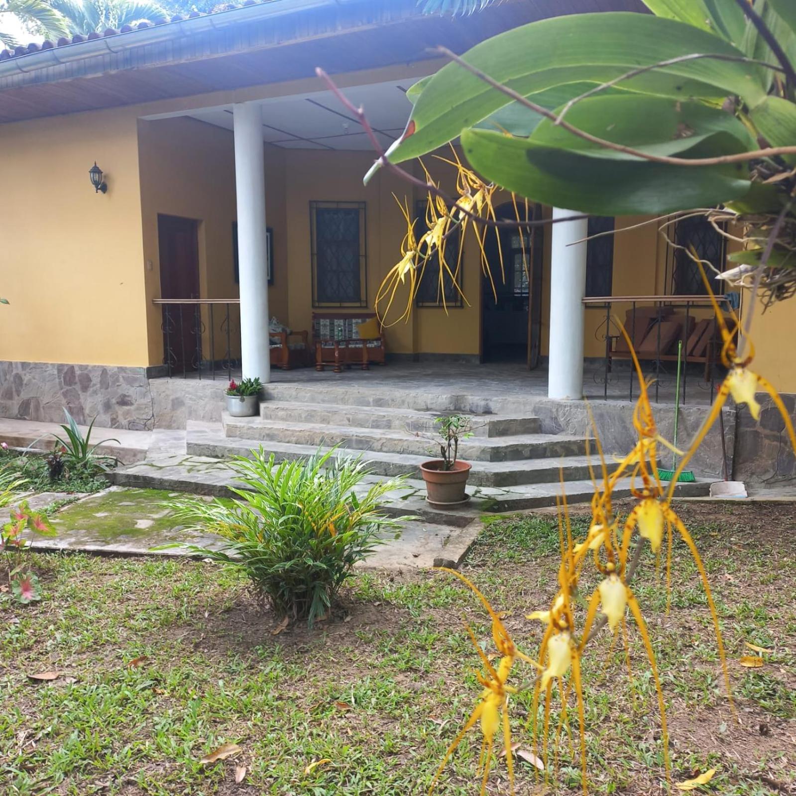 Casa Celia