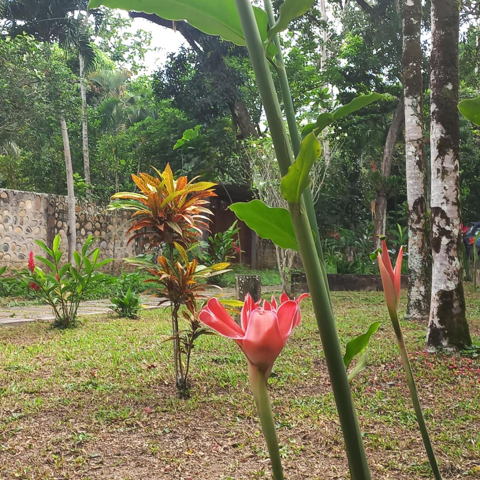 Casa Celia