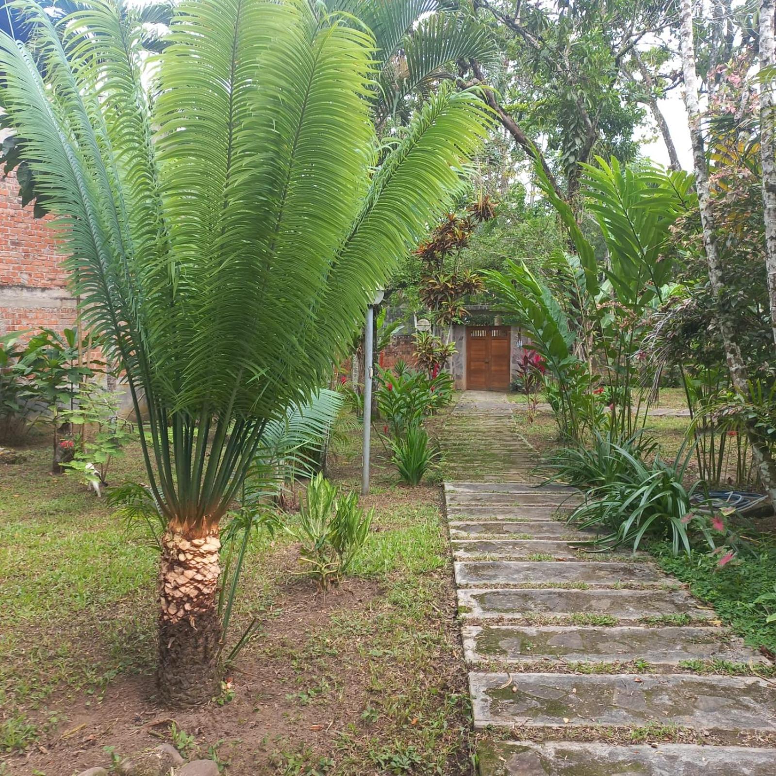 Casa Celia