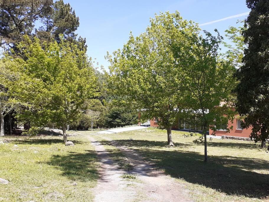 Casa de Campo con Bosque y Pileta