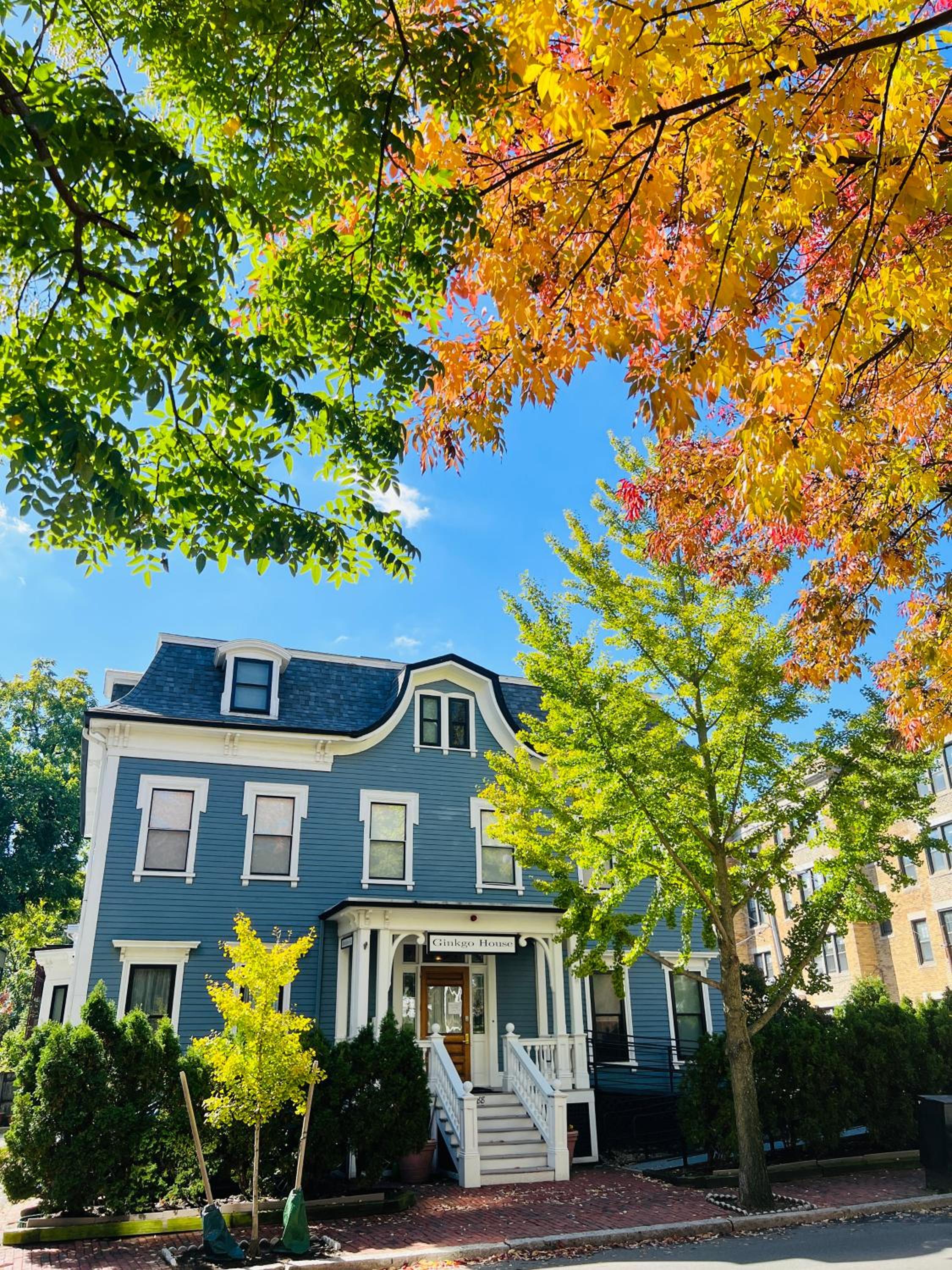 Ginkgo House on Harvard - Property Image 46