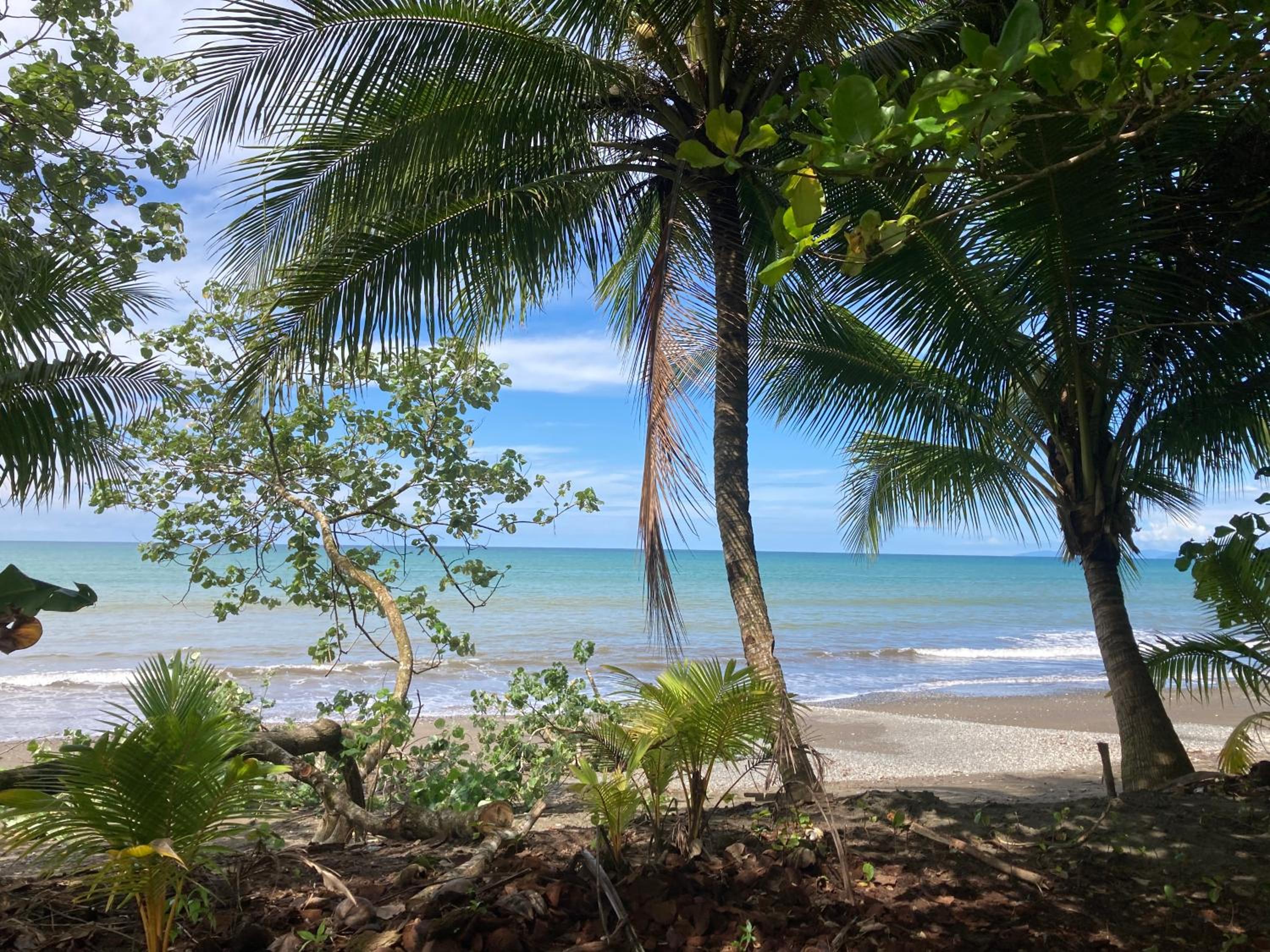 Popochos Beach Eco Lodge