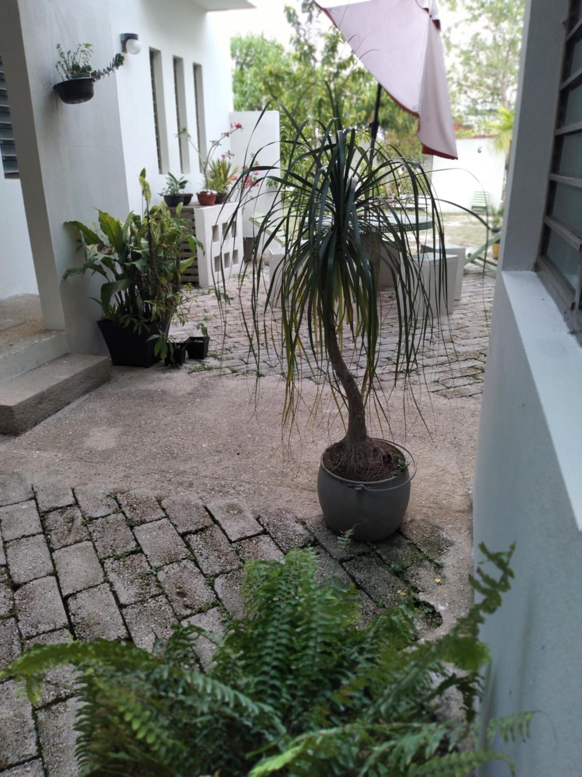 Photo 46