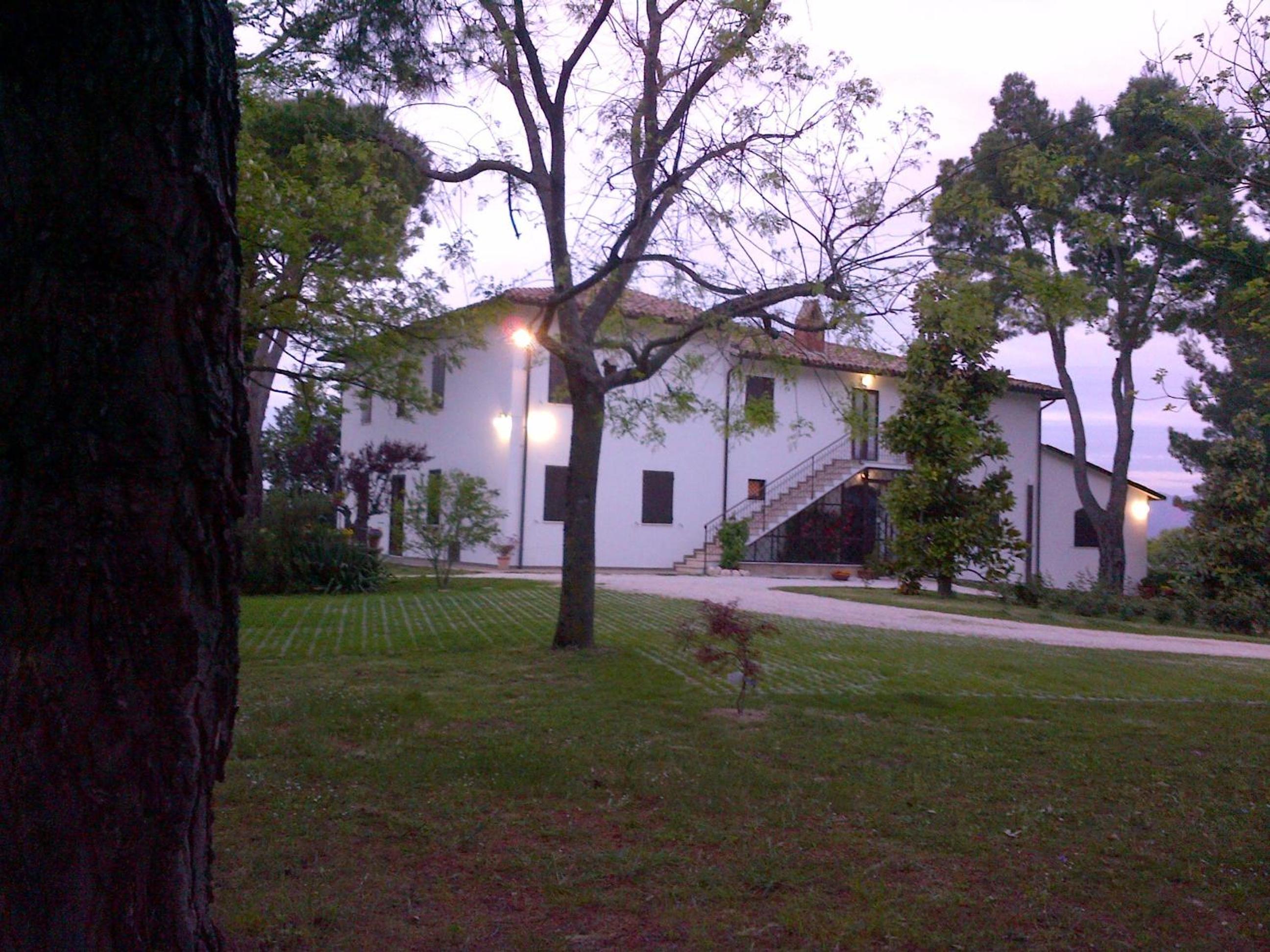 Photo 56