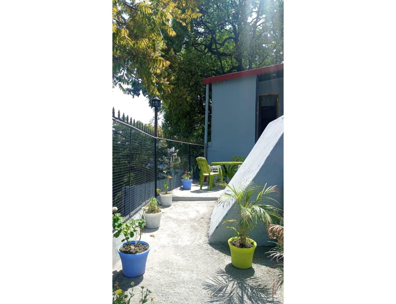Photo 15