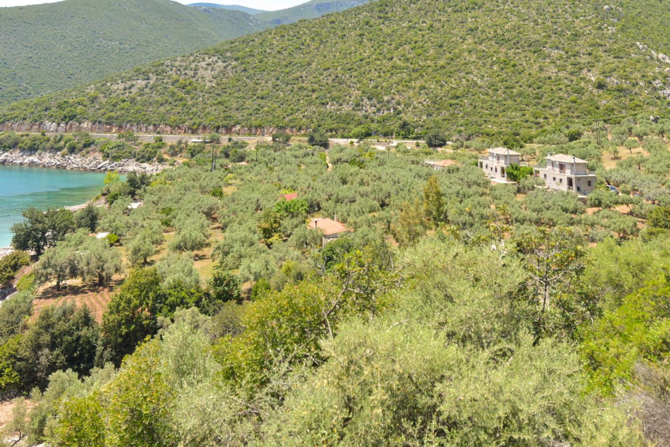 Astros Beach house within an olive farm