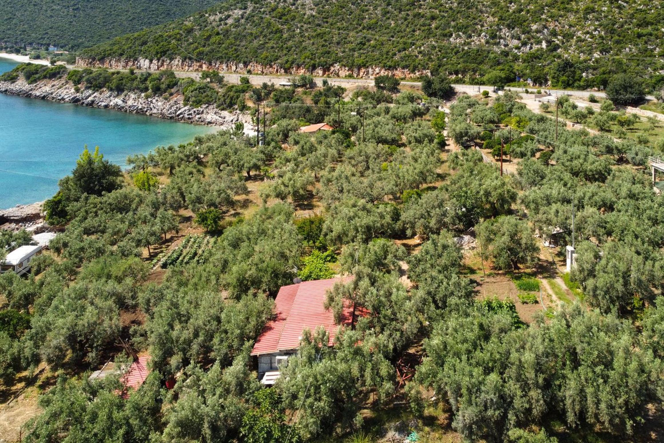 Astros Beach house within an olive farm