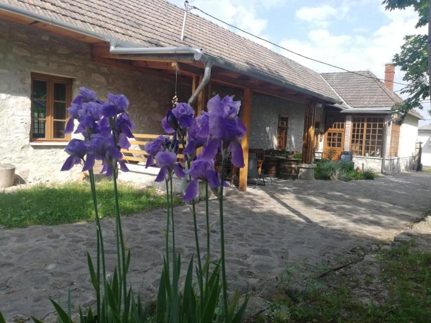 Karádi-Berger Wine and Bike Erdőbénye