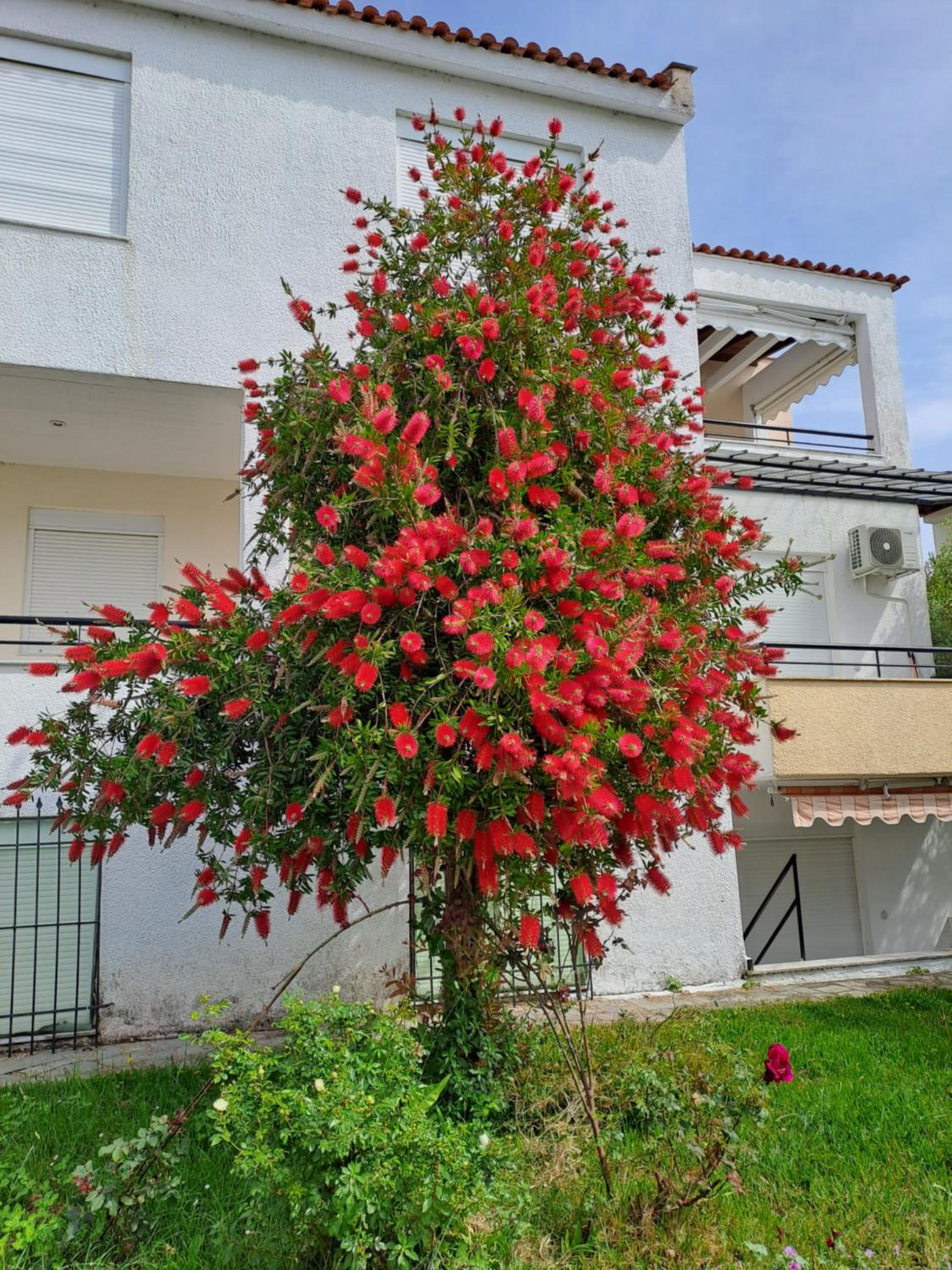 Kalipso Family Apartments