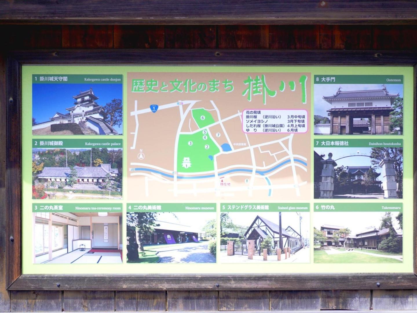 Photo 8