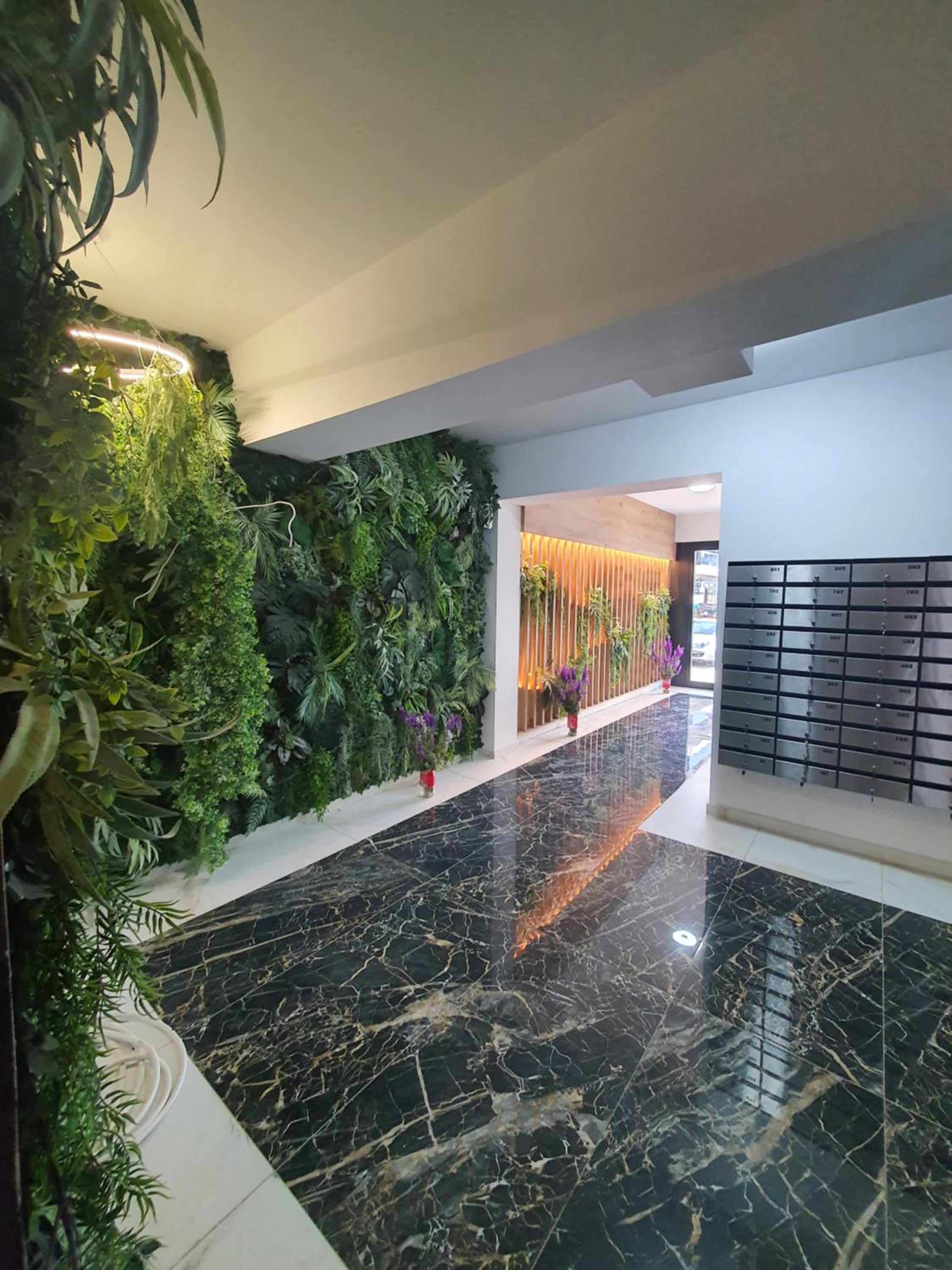 Studio Isabela