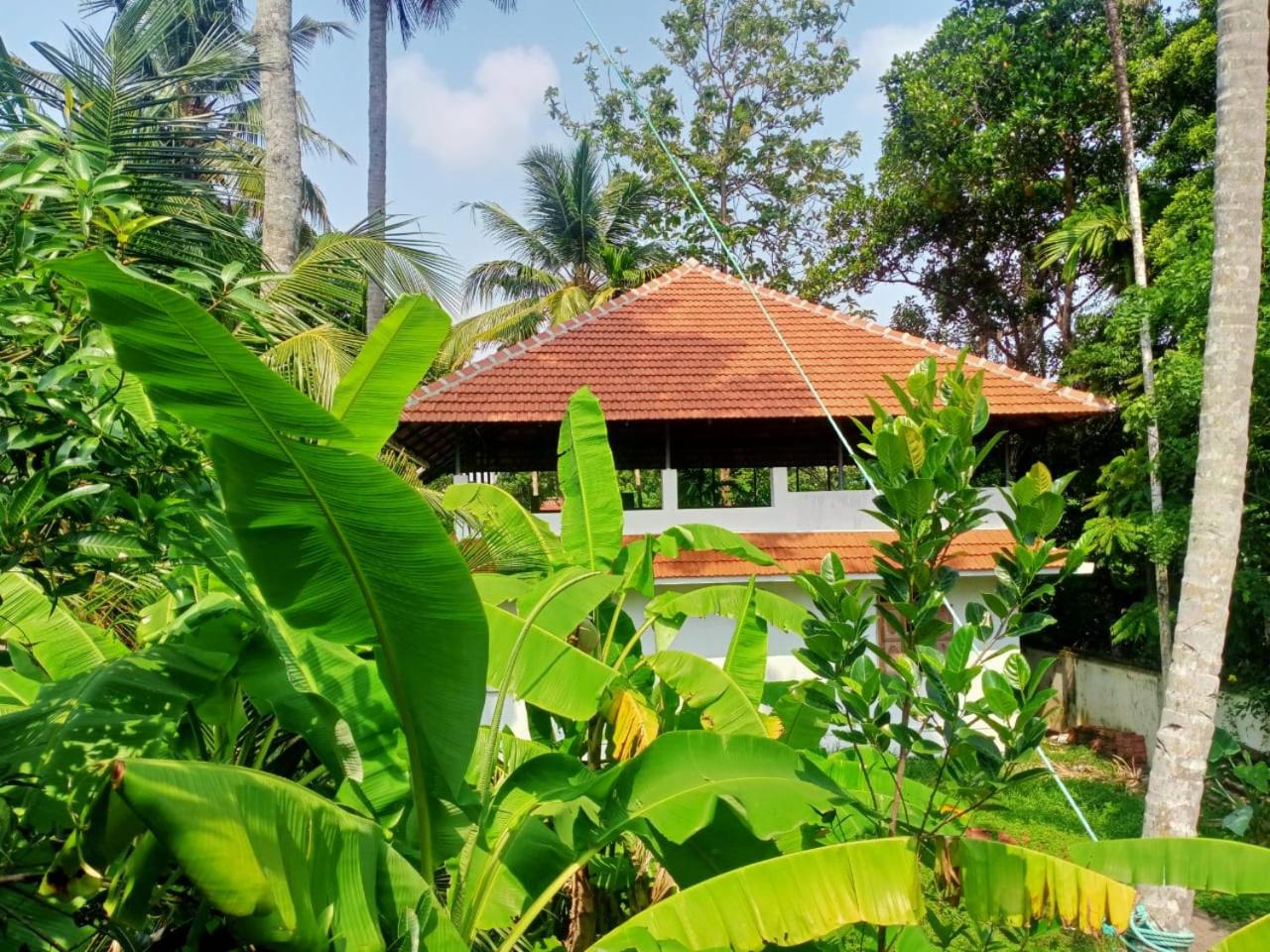 Sinai Homestay