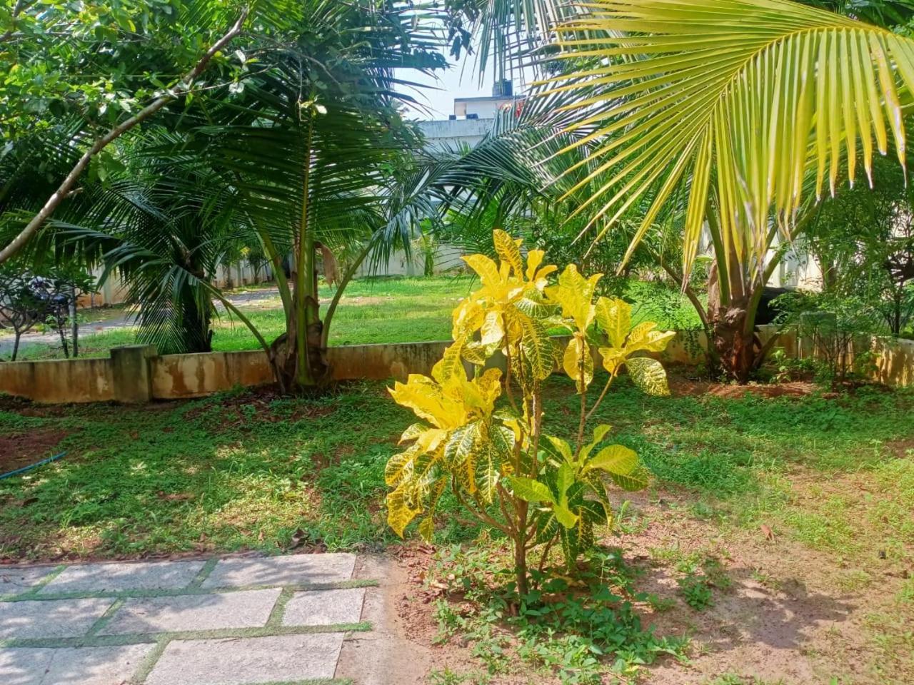 Sinai Homestay