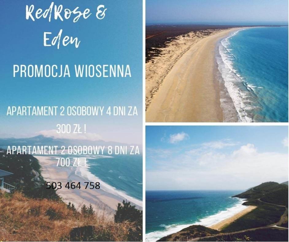 Hotel Red Rose & Eden