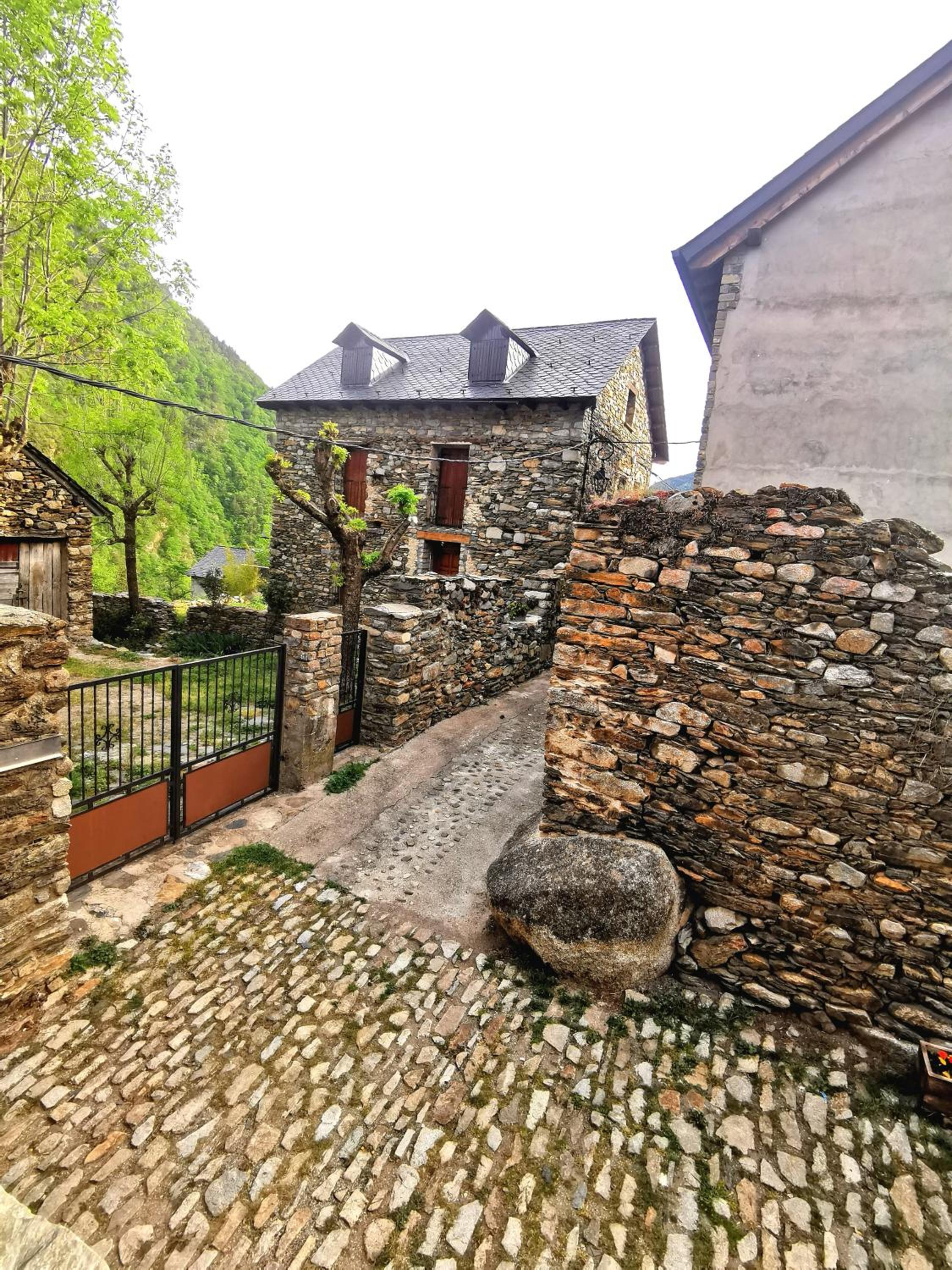 Photo 26