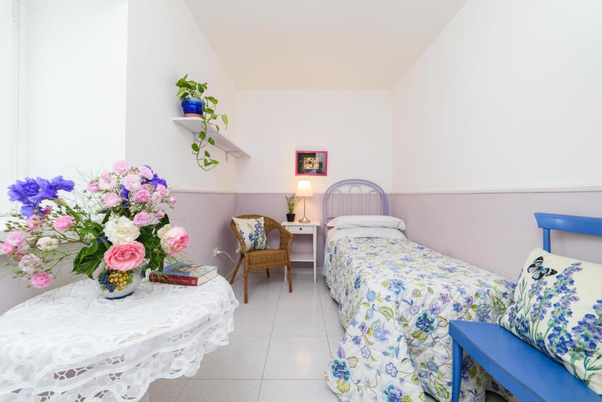 B&B Gattacicova