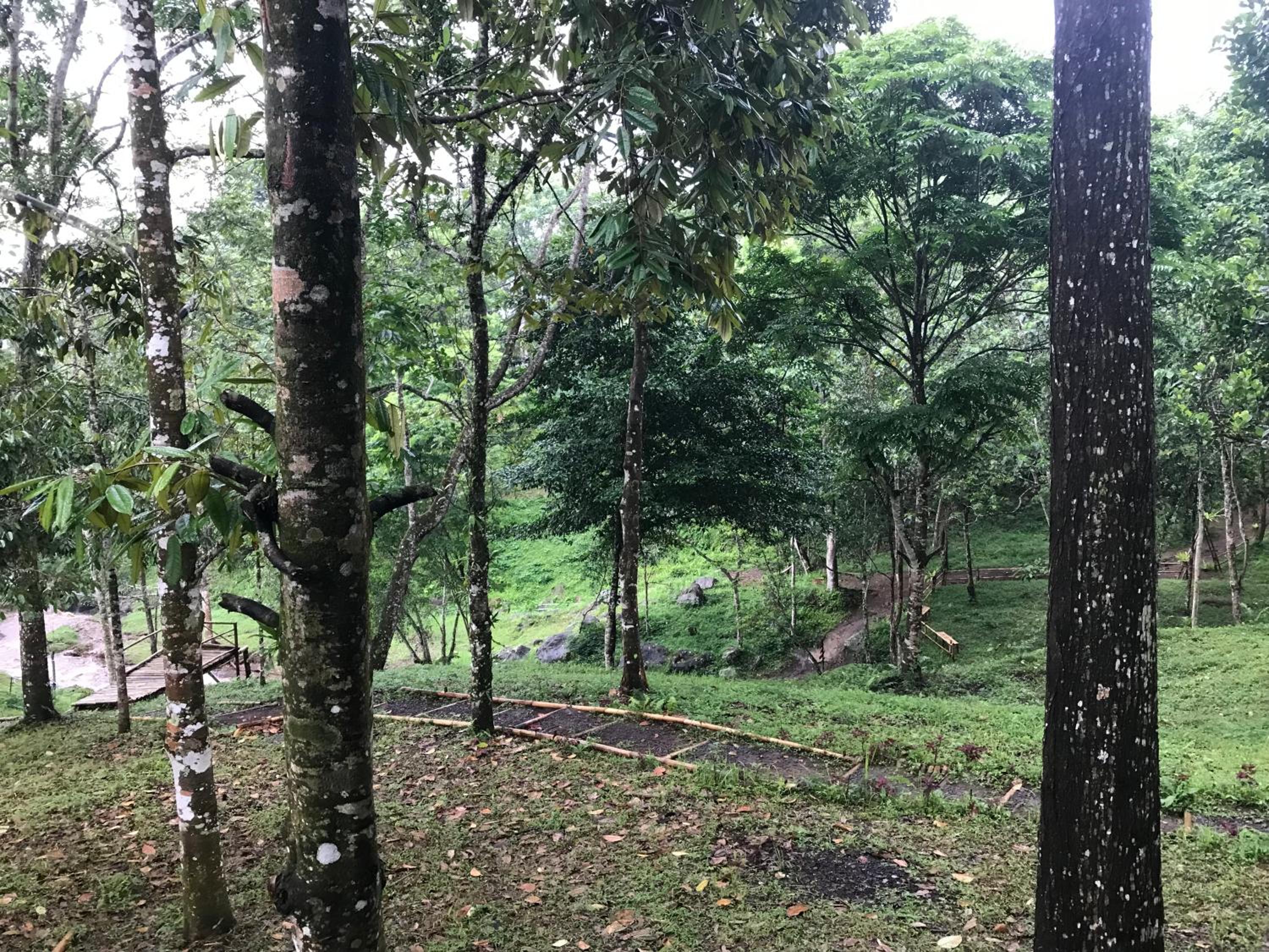 Joben Ecolodge