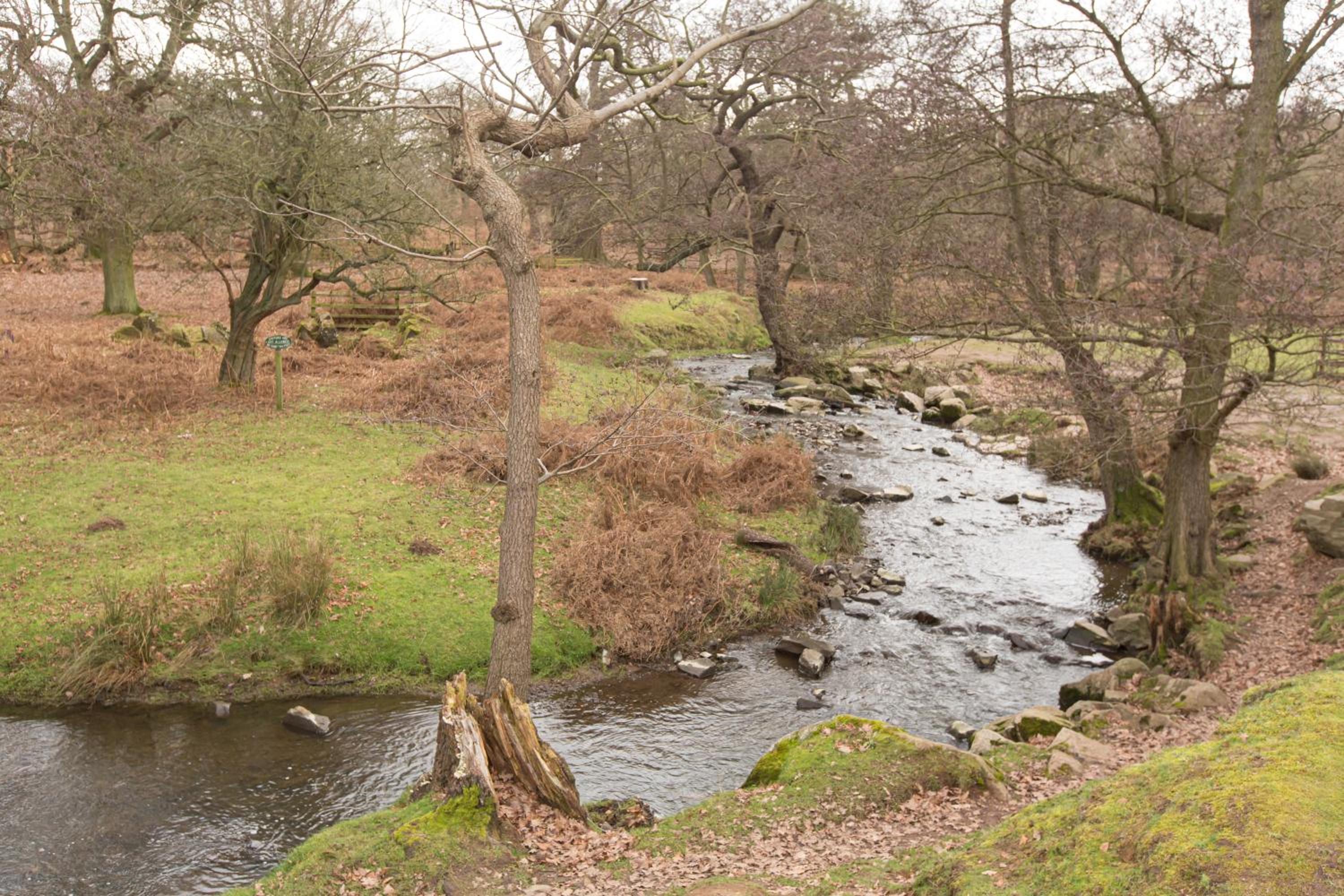 Photo 53