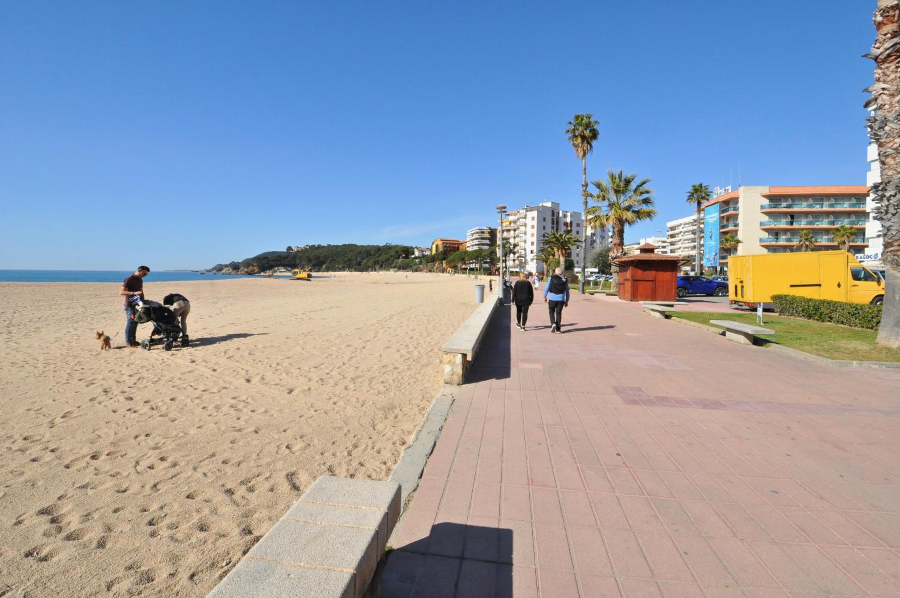 Apartament Planiol