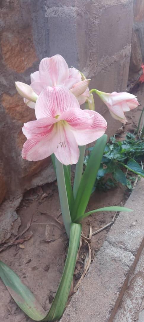 Mmathaba Guest House