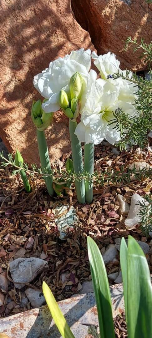 Mmathaba Guest House