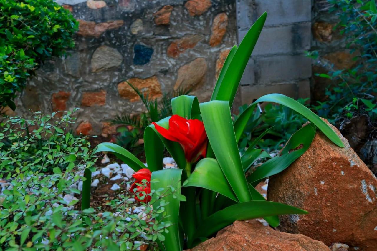 Mmathaba Guest House
