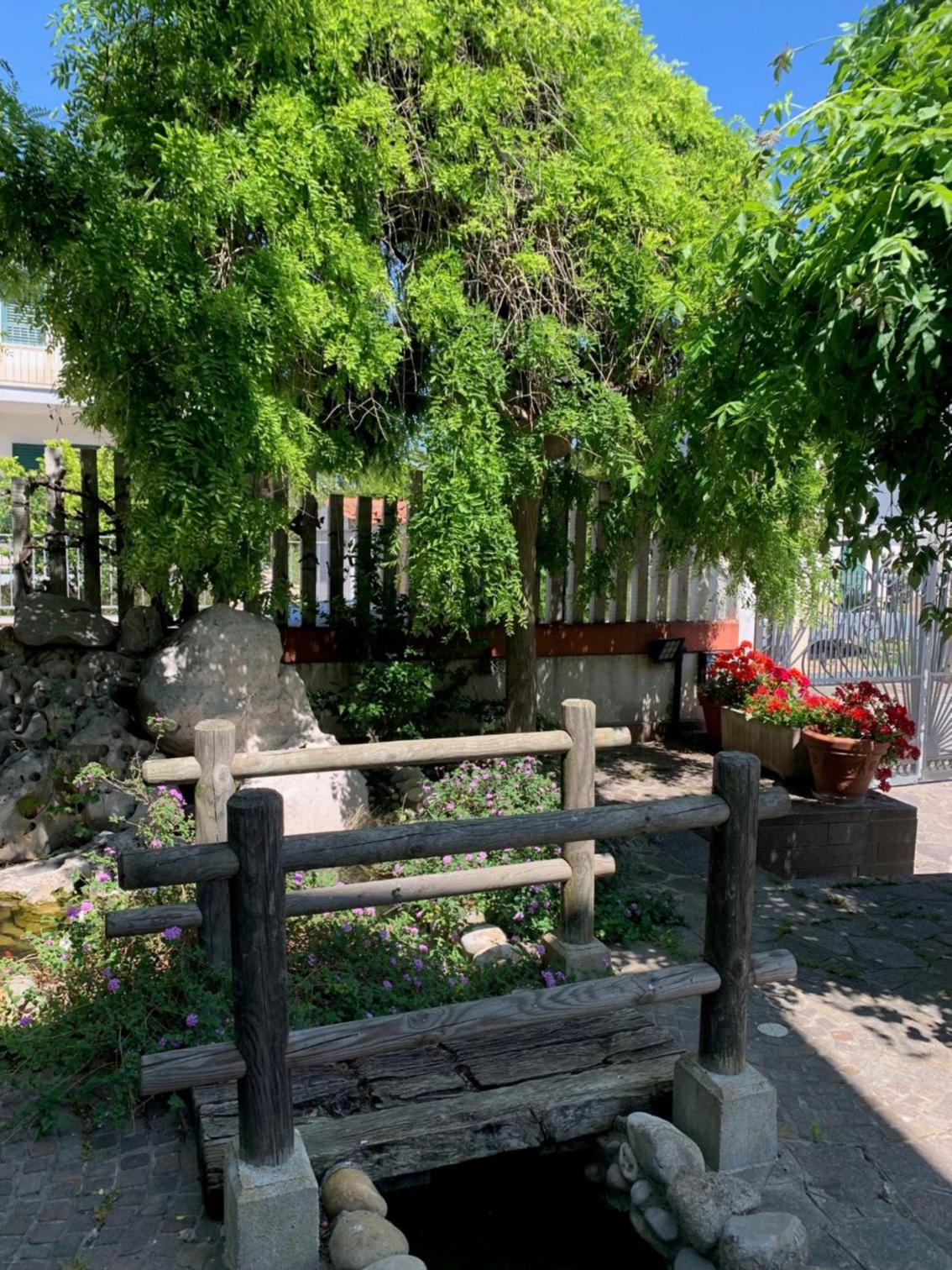 B & B Villa Fiorella view 2