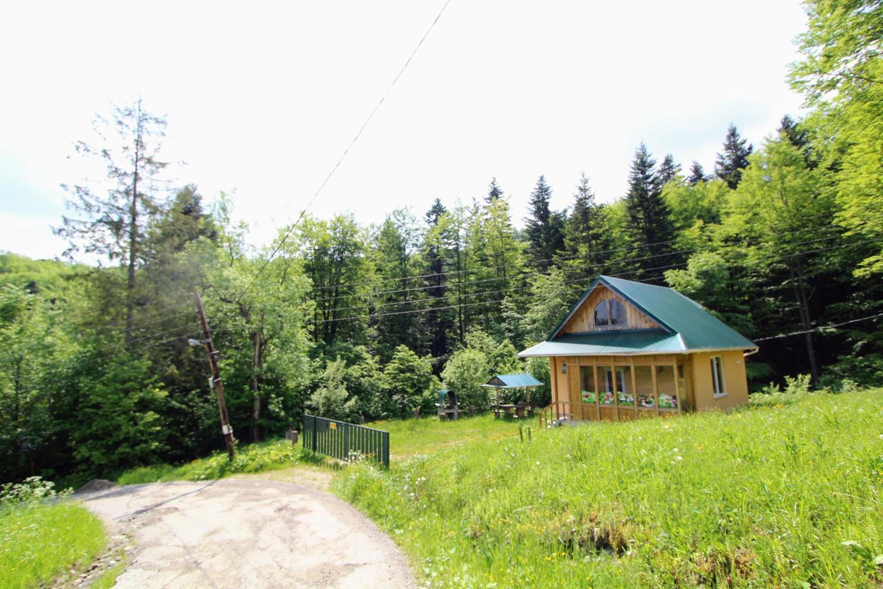 Gribochok
