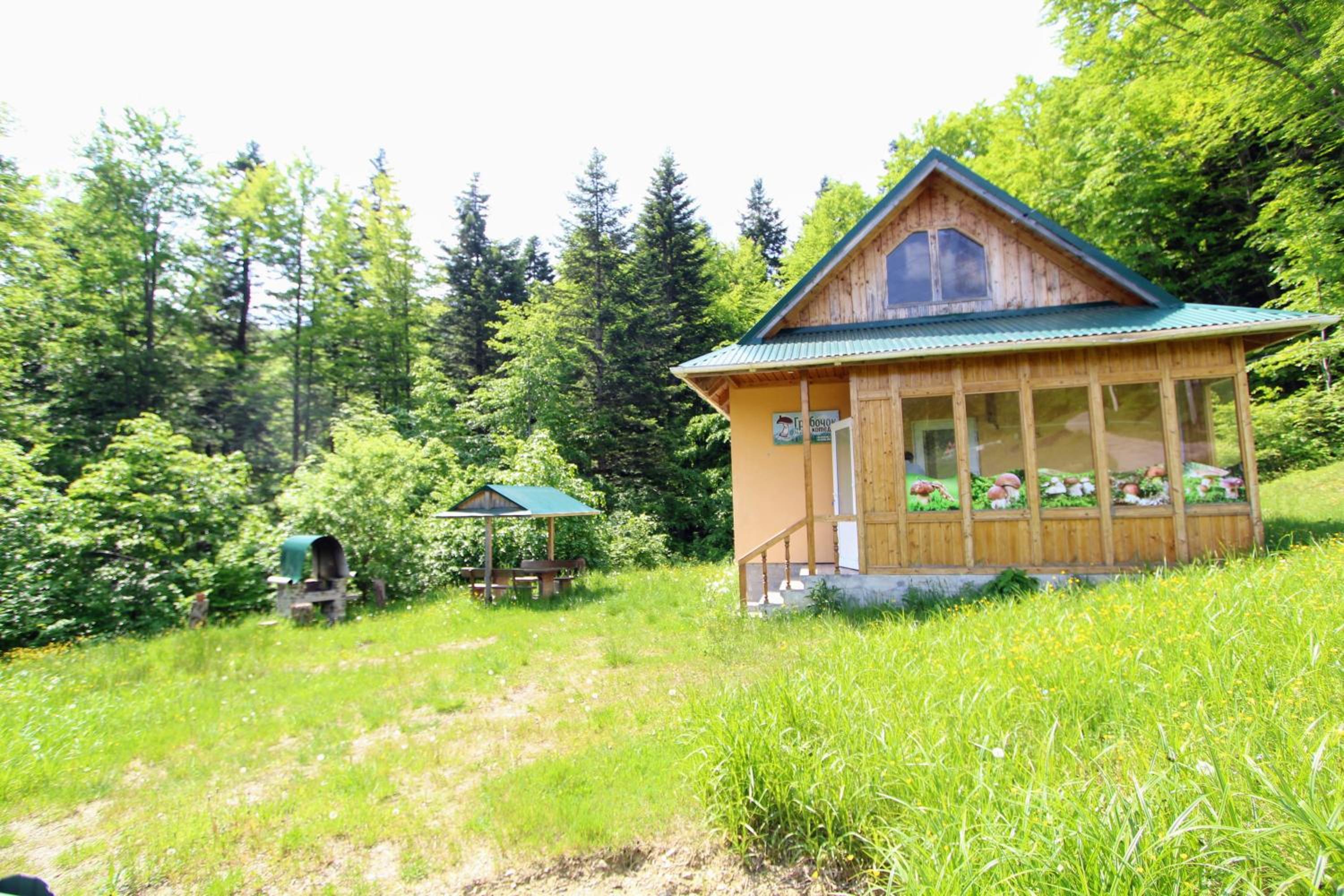 Gribochok
