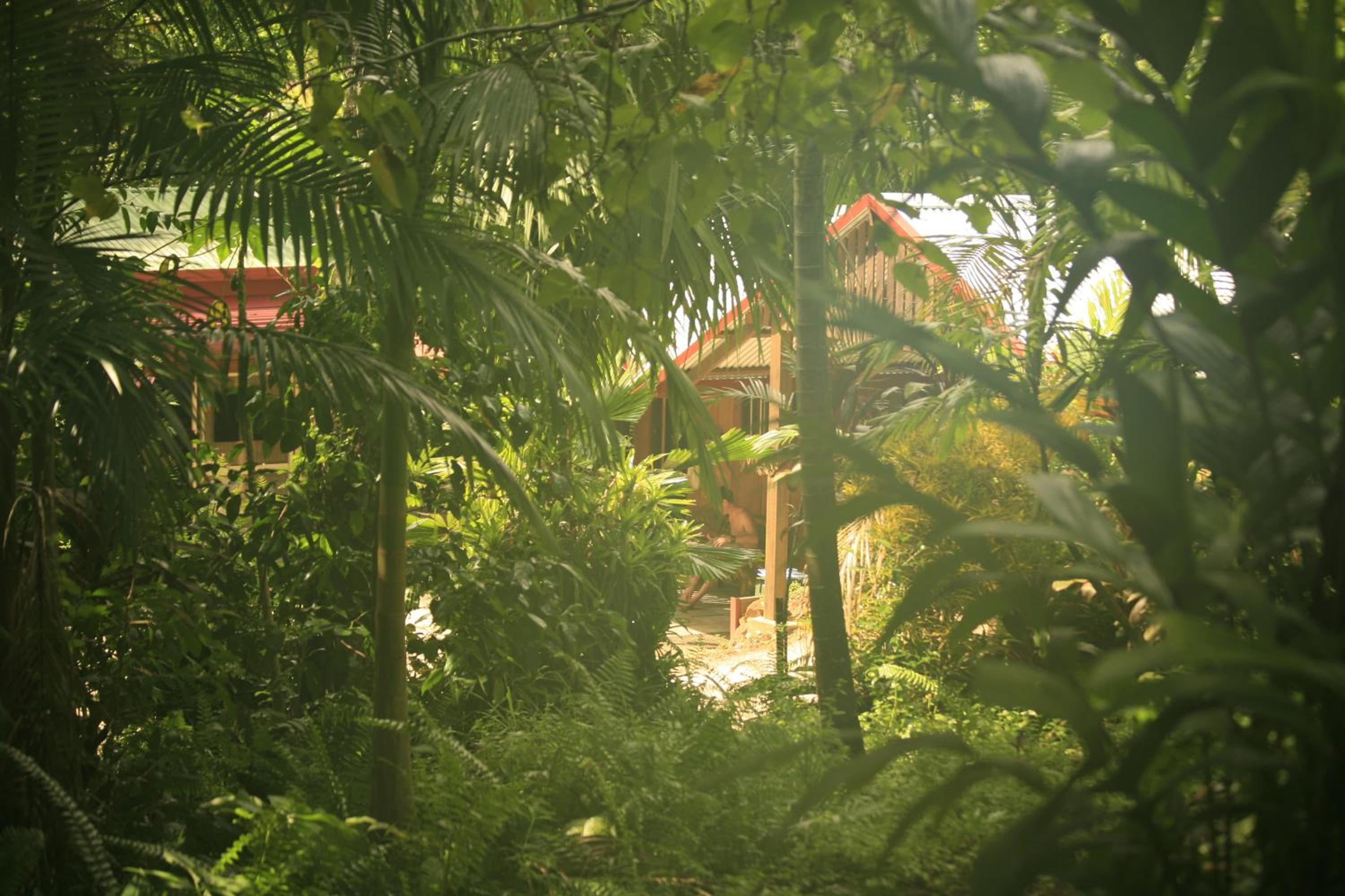 Tropical Bliss bed and breakfast