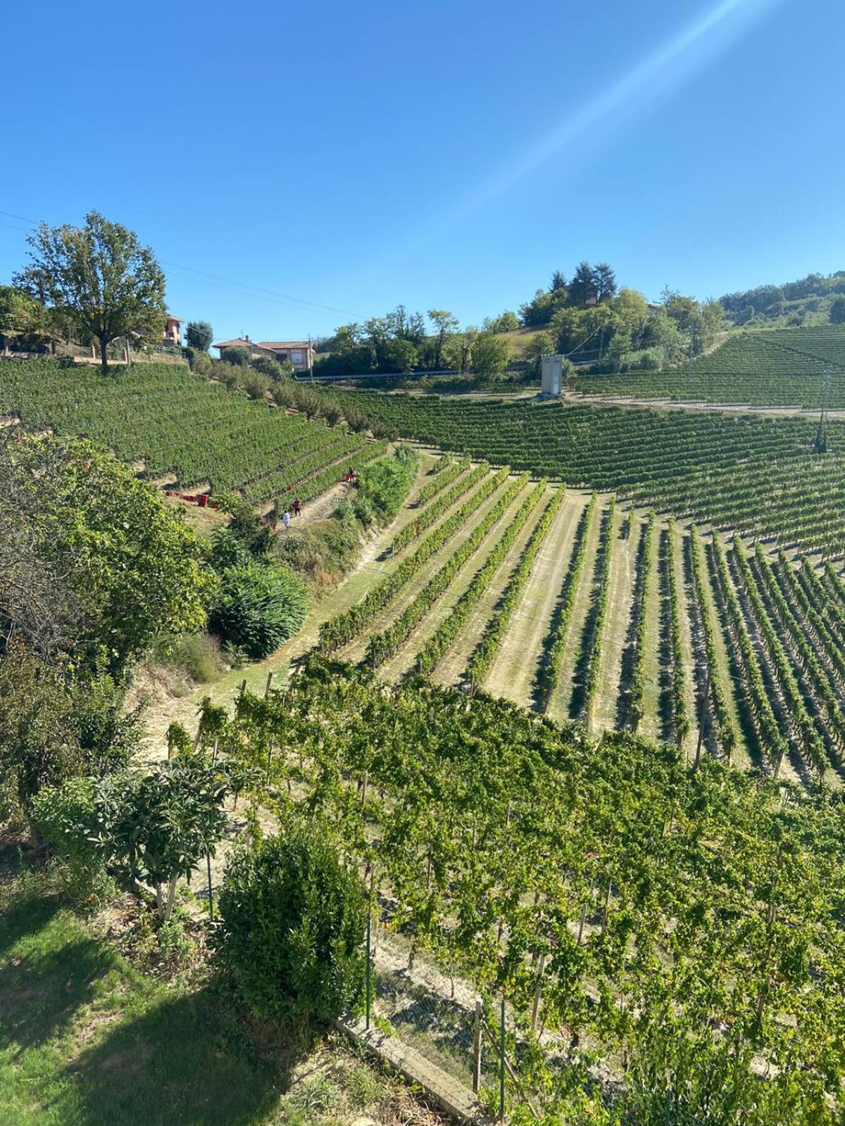 Casa Quinterni photo 2