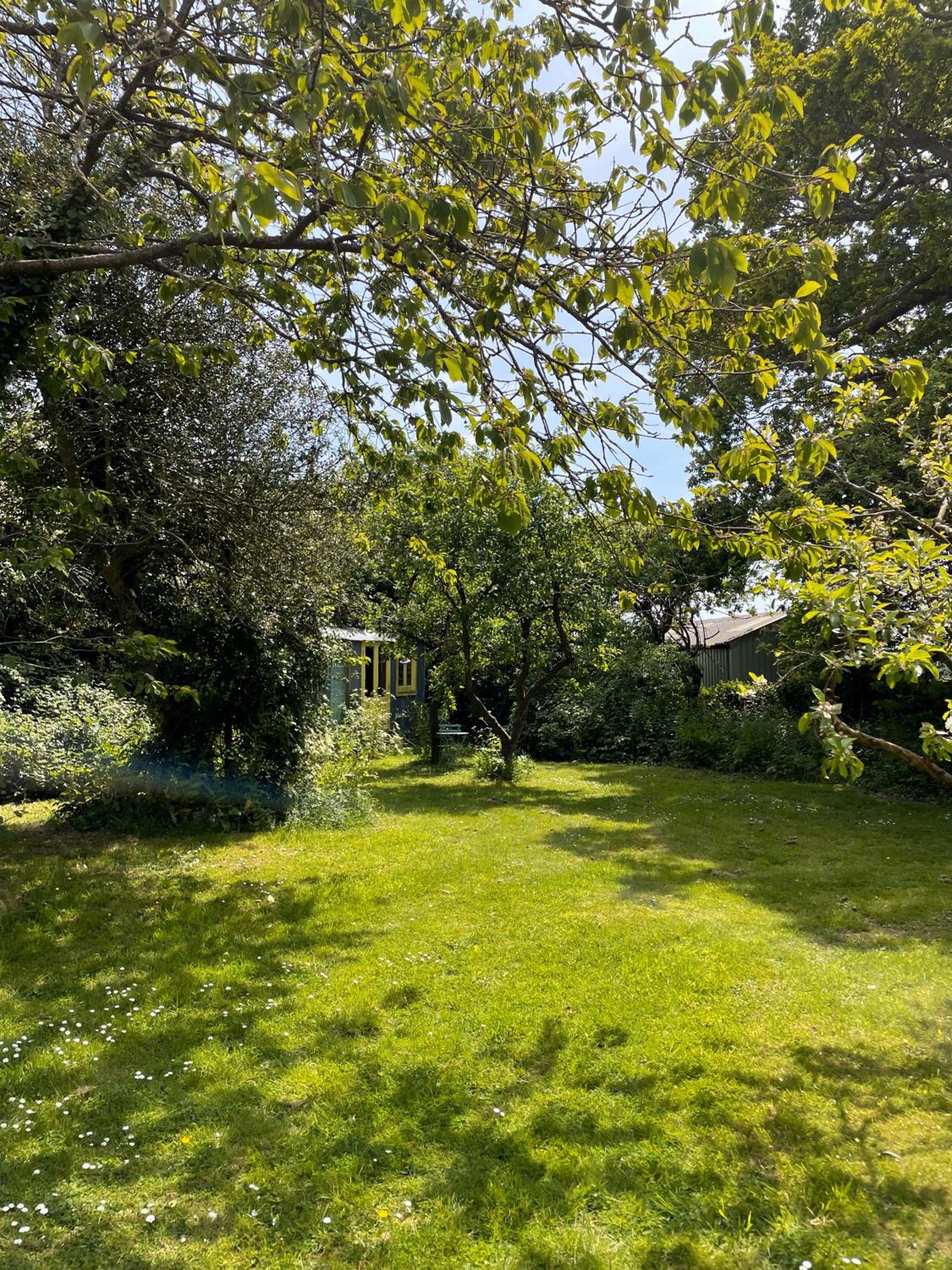 Photo 29
