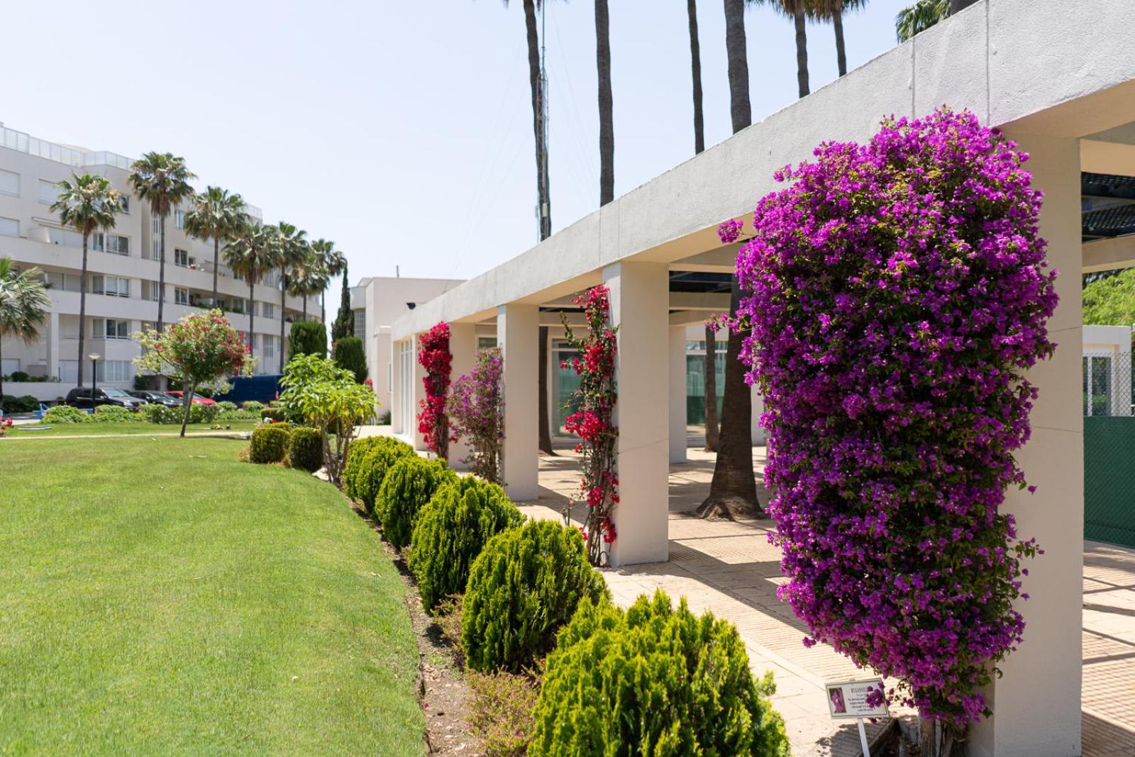 Beautiful front-line beach apartment in Estepona.