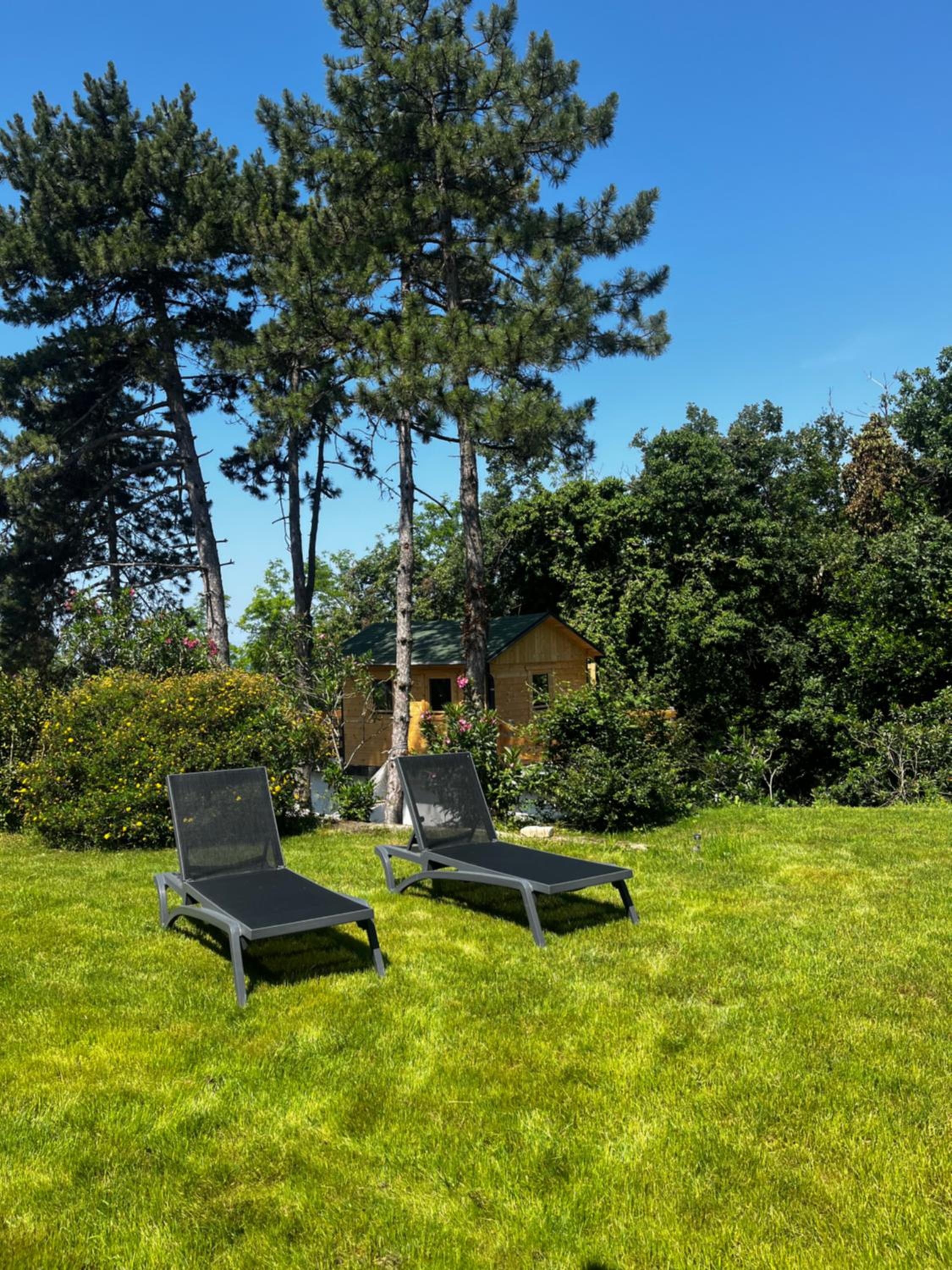 Active Chillax Oasis Apartments