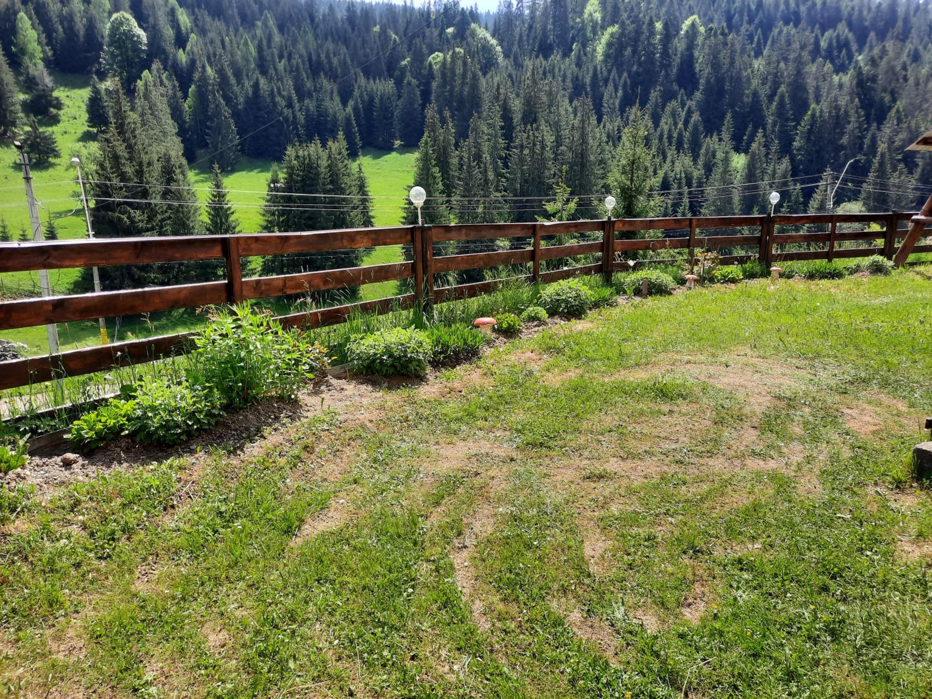 Photo 44
