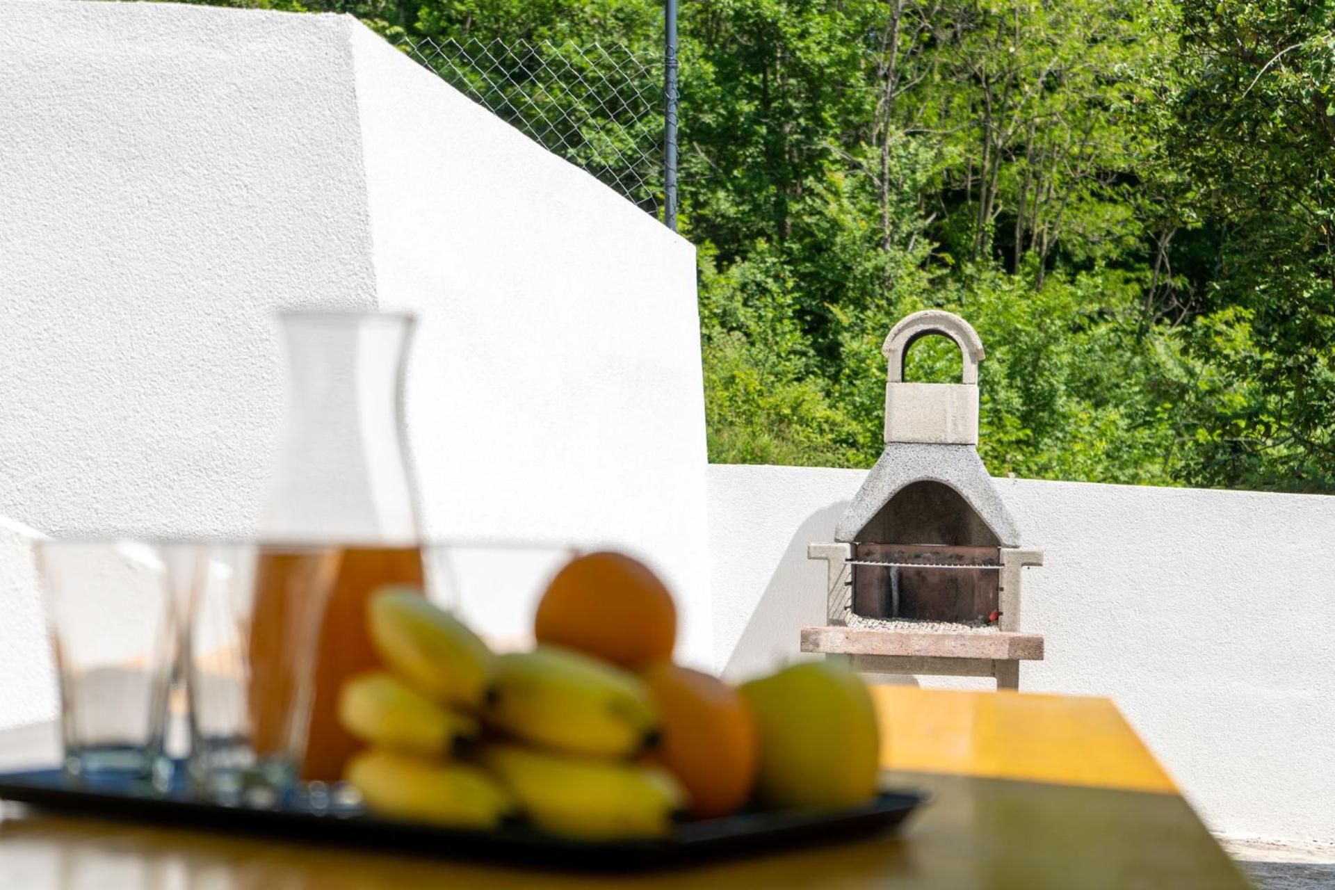 Holiday House Zrmanja Vrelo view 3