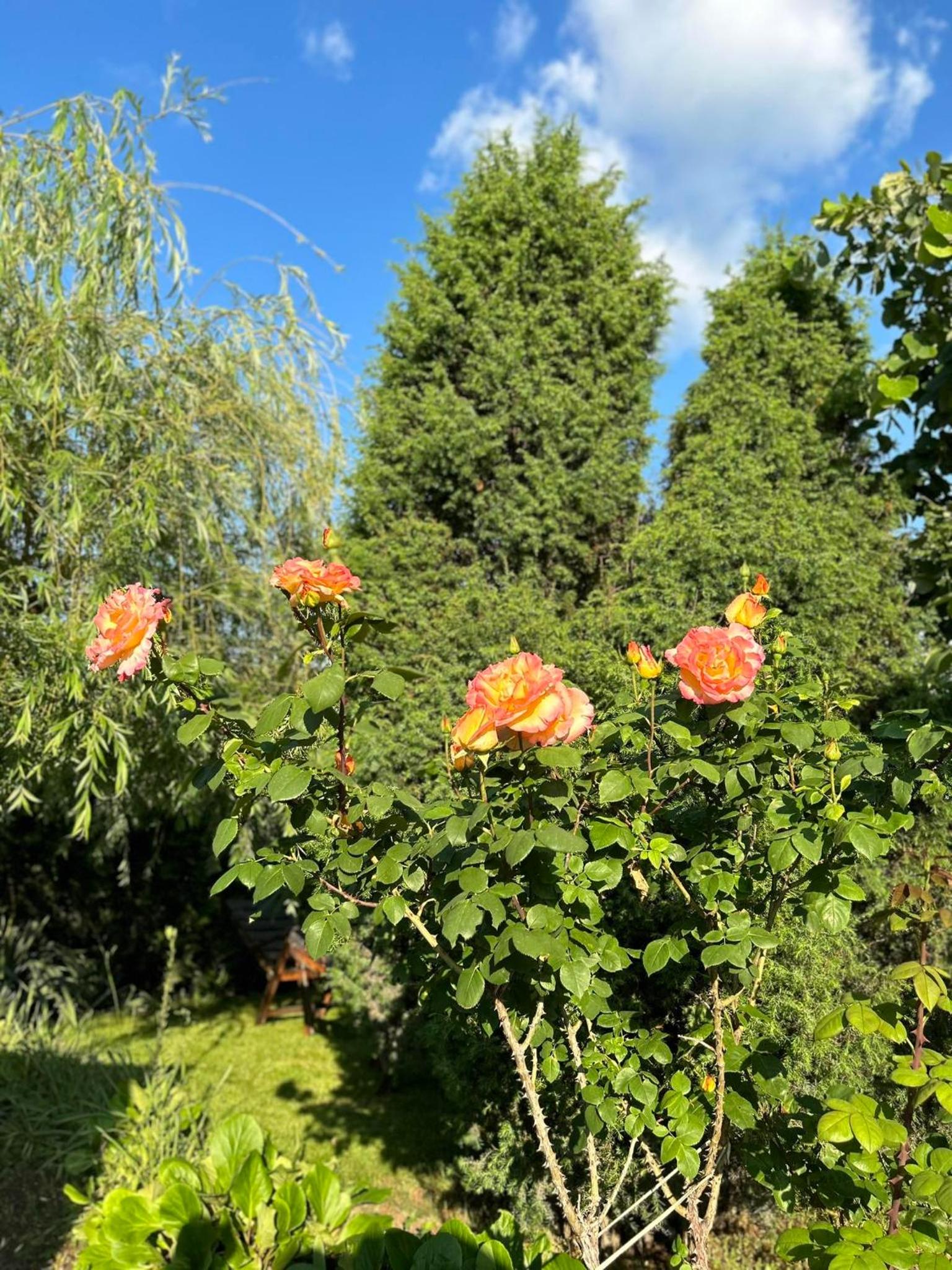 Photo 27