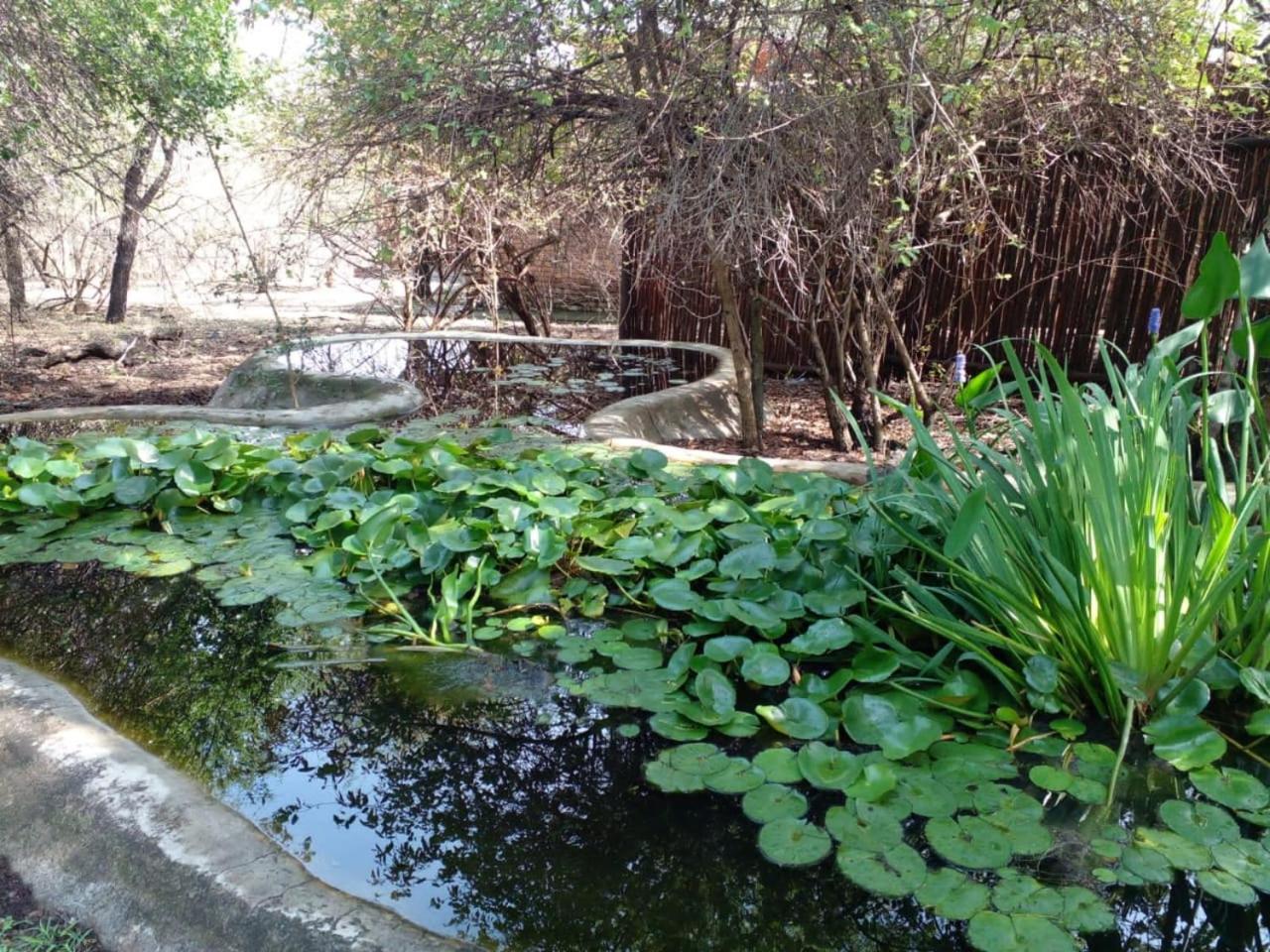 Kruger Dreams Lodge